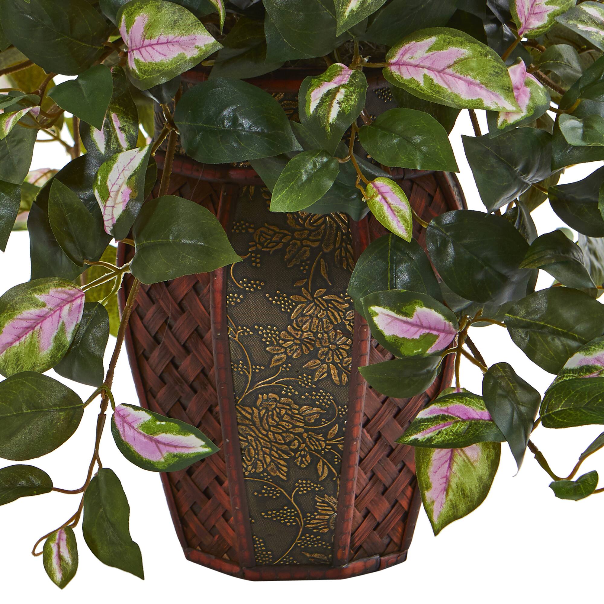 20" Hoya Plant in Decorative Planter